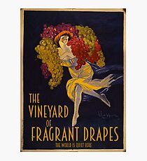 Visit the Vineyard of Fragrant Drapes! Photographic Print