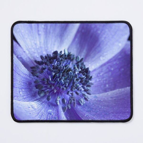 Item preview, Stunning purple Anemone flower macro designed and sold by CyaniRose.