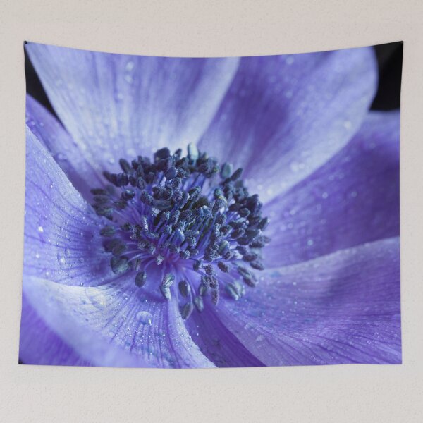 Item preview, Stunning purple Anemone flower macro designed and sold by CyaniRose.