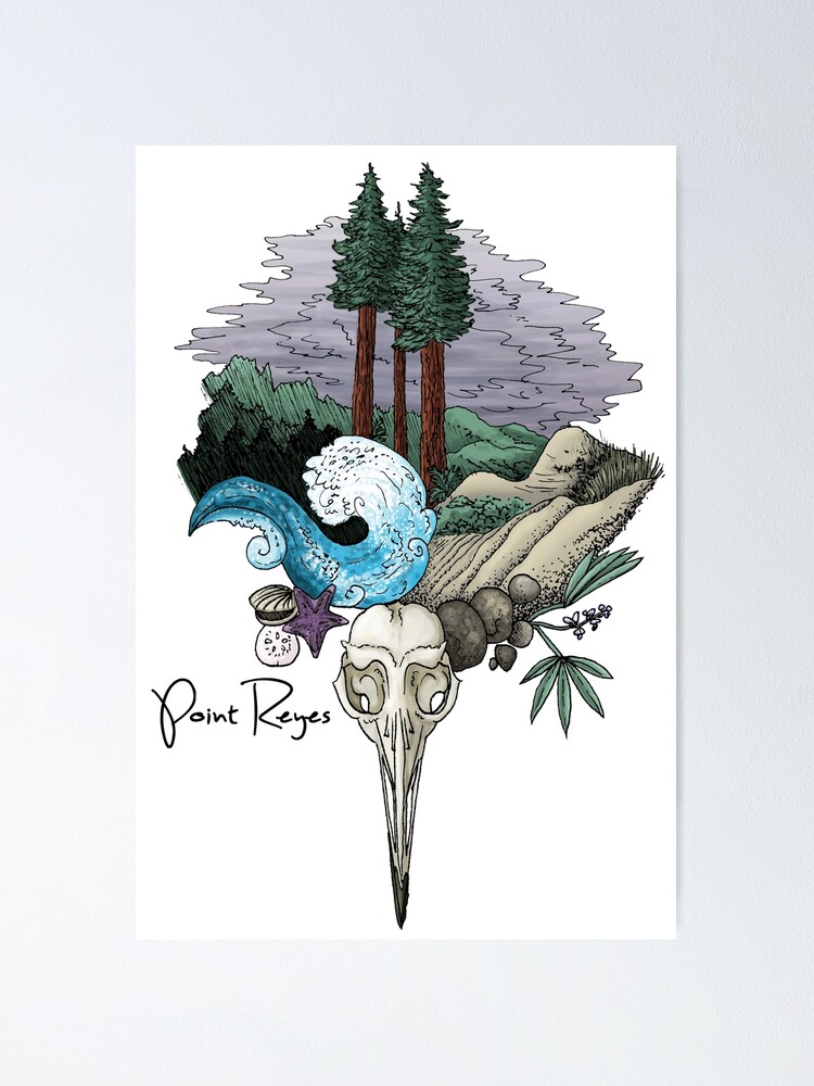 Imagen 1 de 3, Póster con la obra Point Reyes National Seashore, diseñada y vendida por aspenworkman.