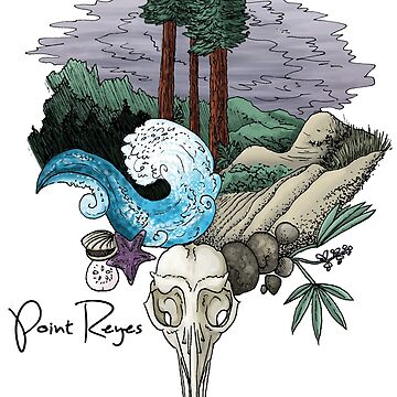 Artwork thumbnail, Point Reyes National Seashore by Aspen Workman