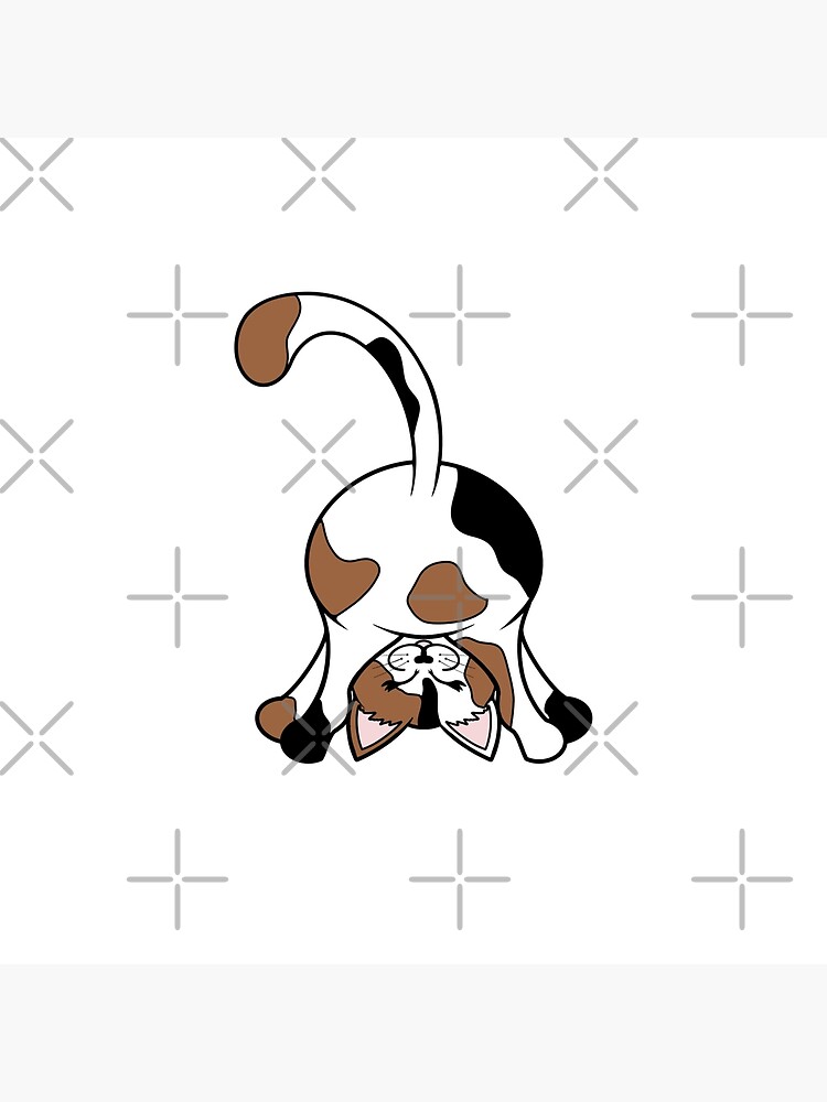 "Cute Cat Kitten Posing Hydro Water Bottle Sticker Pack" Poster for