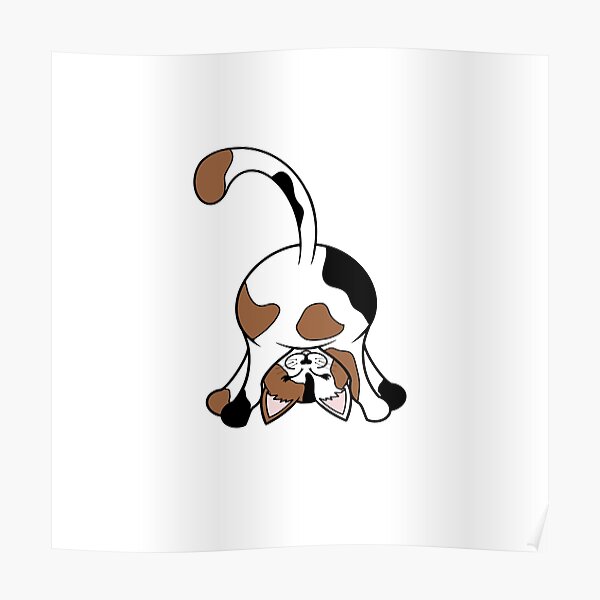 "Cute Cat Kitten Posing Hydro Water Bottle Sticker Pack" Poster for