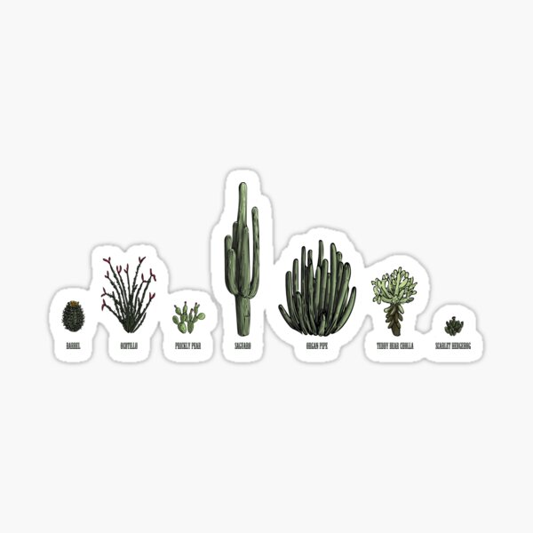 Sonoran Cacti Sticker