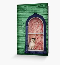 Cat in the Window Greeting Card