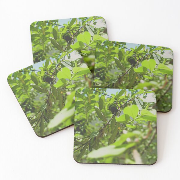 Item preview, Plant designed and sold by RadhaKrishna18.