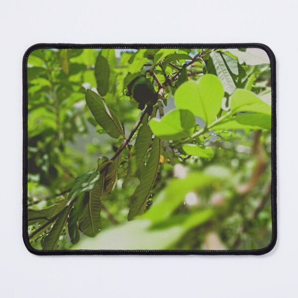 Item preview, Plant designed and sold by RadhaKrishna18.