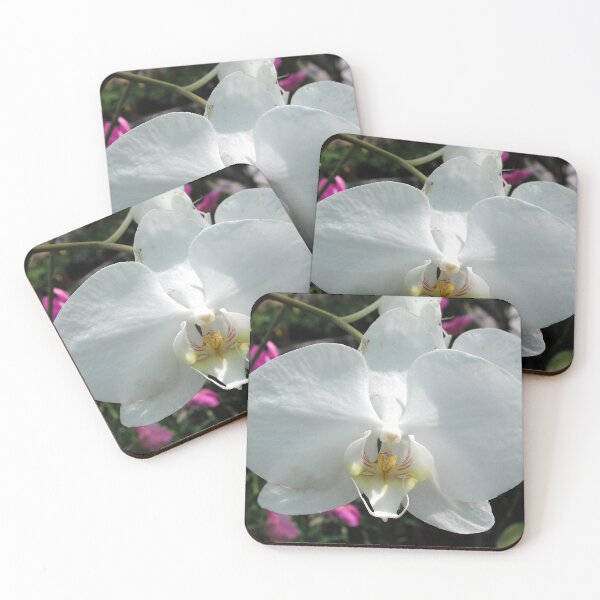 Item preview, White Orchid. designed and sold by JonDelorme.