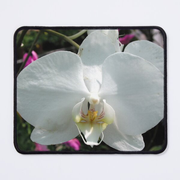 Item preview, White Orchid. designed and sold by JonDelorme.