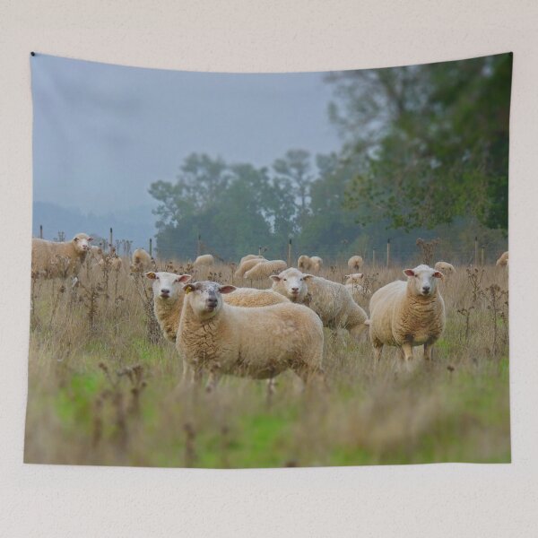 Item preview, Sheeps designed and sold by Follow the Hedgehog.