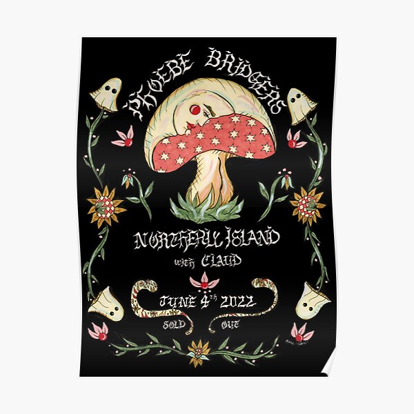 new phoebebridgers Northerly Island Show Poster