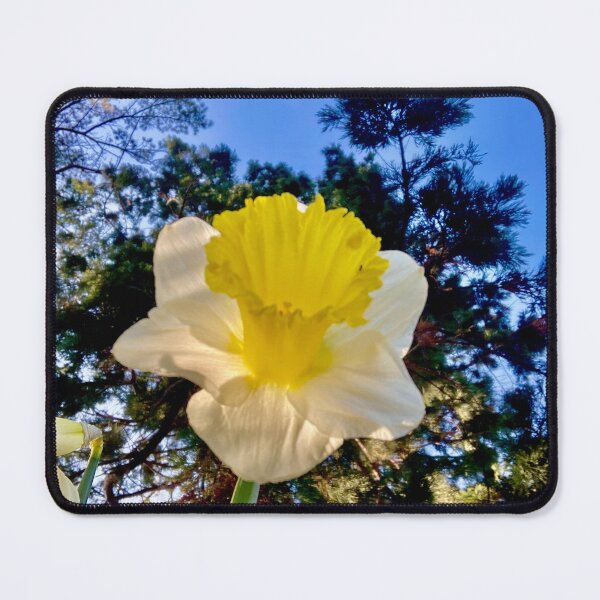 Item preview, Sunny Daffodil designed and sold by GingerCatCo.