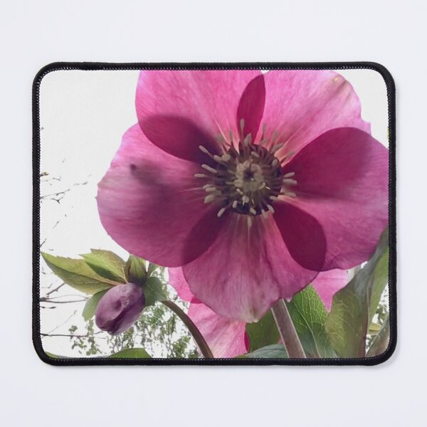Item preview, Pink flower designed and sold by GingerCatCo.