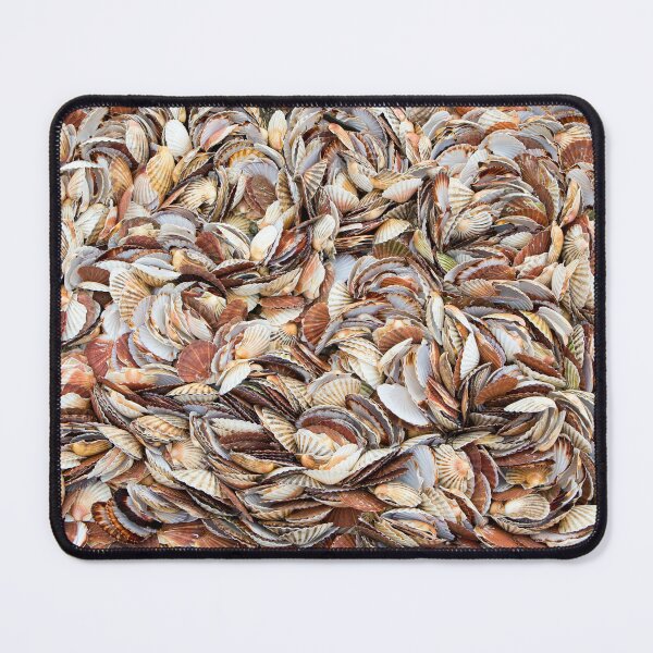 Item preview, Scallop Shells designed and sold by Dave Hare Photography.