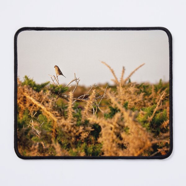 Item preview, wildlife in brittany designed and sold by Nebulae-Art.