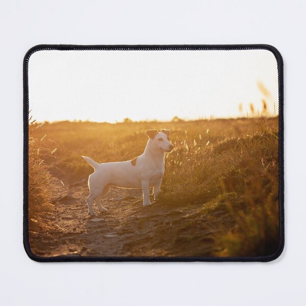 Item preview, jack russell designed and sold by Nebulae-Art.