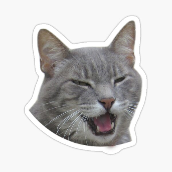 Facebook The GaMERCaT Sticker #4 free download