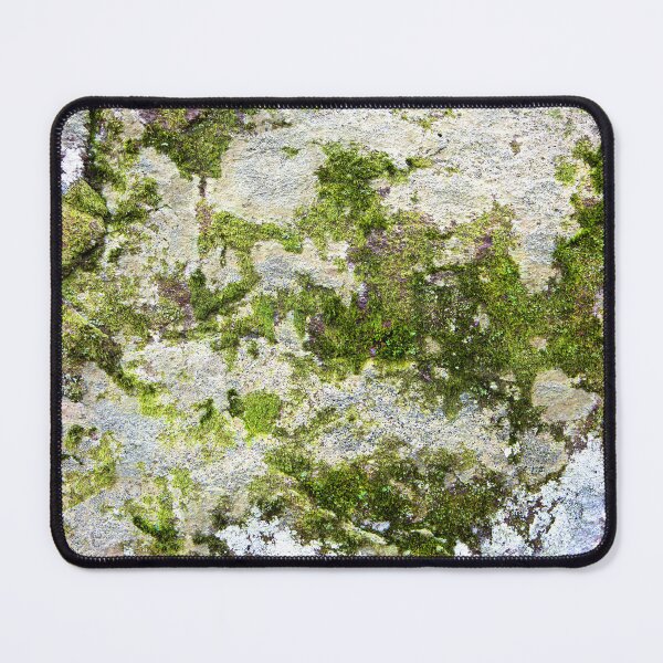 Item preview, Moss on stone Textures 23 designed and sold by Dave Hare Photography.
