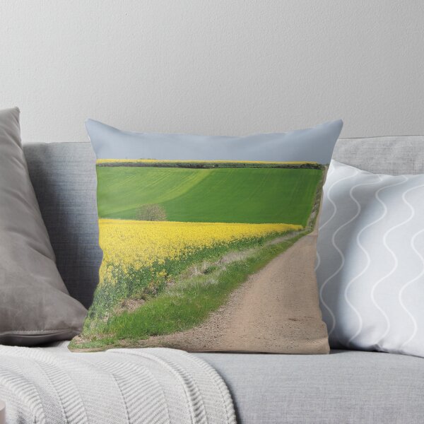 Item preview, Camino de Santiago designed and sold by Caren della Cioppa.