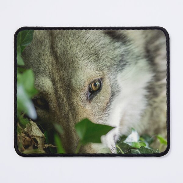 Item preview, wolf gaze designed and sold by Nebulae-Art.