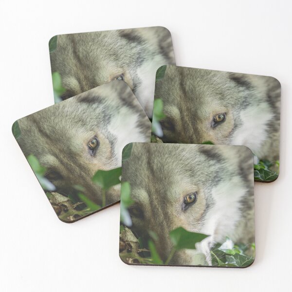 Item preview, wolf gaze designed and sold by Nebulae-Art.