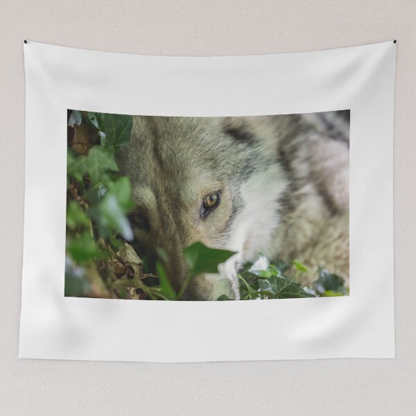 Item preview, wolf gaze designed and sold by Nebulae-Art.