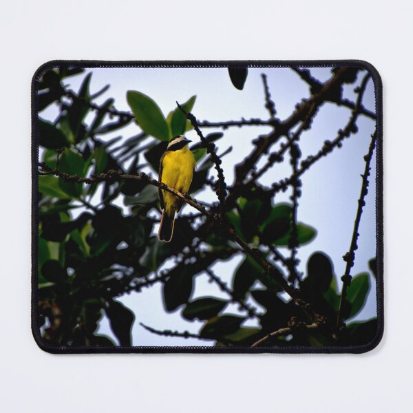Item preview, A Kiskadee In Fenicia designed and sold by alabca.