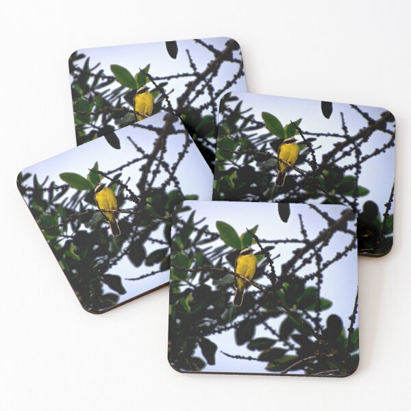 Item preview, A Kiskadee In Fenicia designed and sold by alabca.