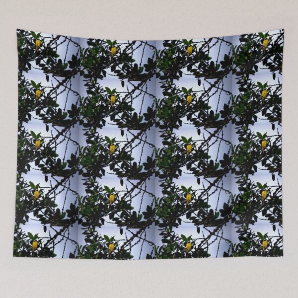 Item preview, A Kiskadee In Fenicia designed and sold by alabca.