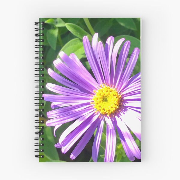 Artikelvorschau, Schöne Asterblume entworfen und verkauft von GingerCatCo.