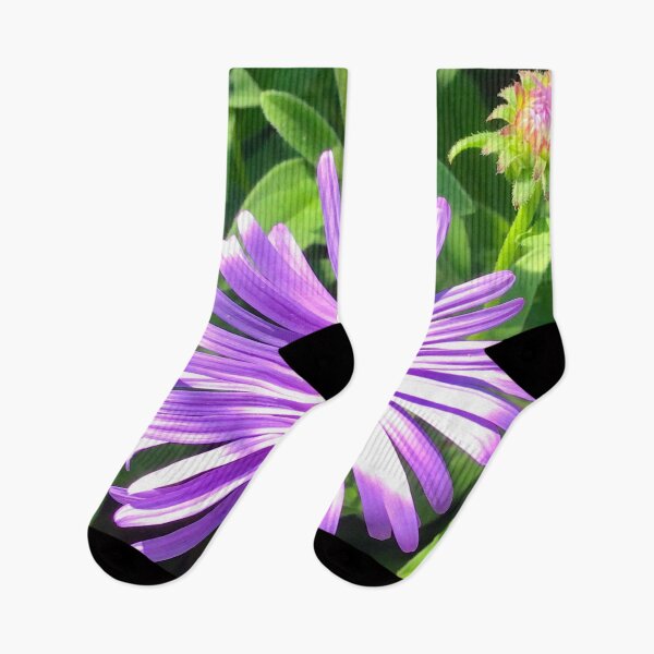 Item preview, Beautiful aster flower designed and sold by GingerCatCo.
