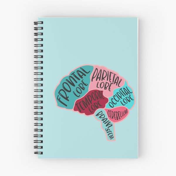Item preview, Anatomical brain designed and sold by Preslava Genova.