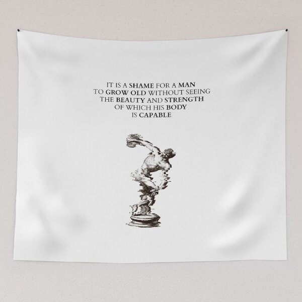 Item preview, It is a shame for a man to grow old without seeing the beauty and strength of which his body is capable - Socrates ancient greek philosopher gym motivation designed and sold by Erflox.