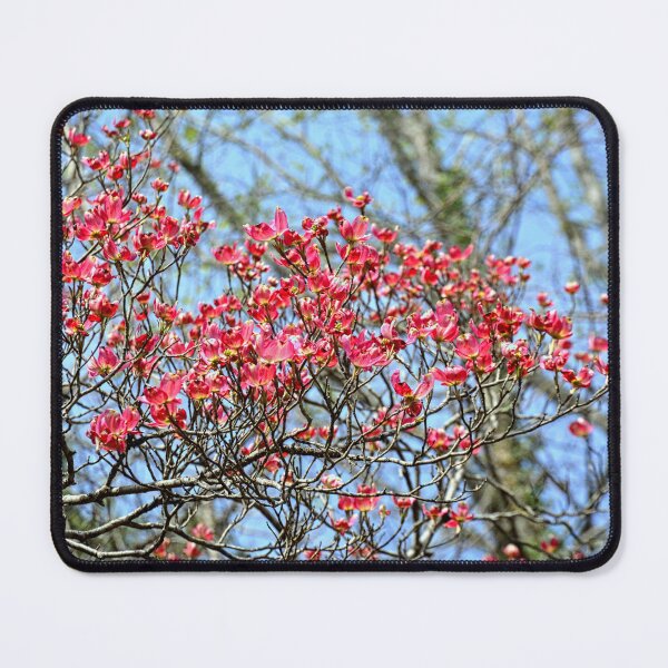 Item preview, Pink Dogwood In Bloom designed and sold by LisaWootenPhoto.