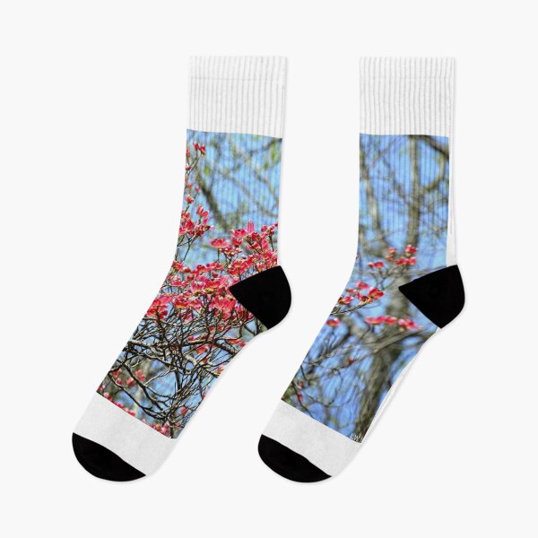 Item preview, Pink Dogwood In Bloom designed and sold by LisaWootenPhoto.