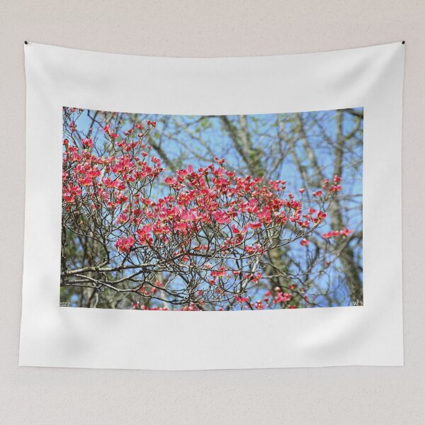Item preview, Pink Dogwood In Bloom designed and sold by LisaWootenPhoto.