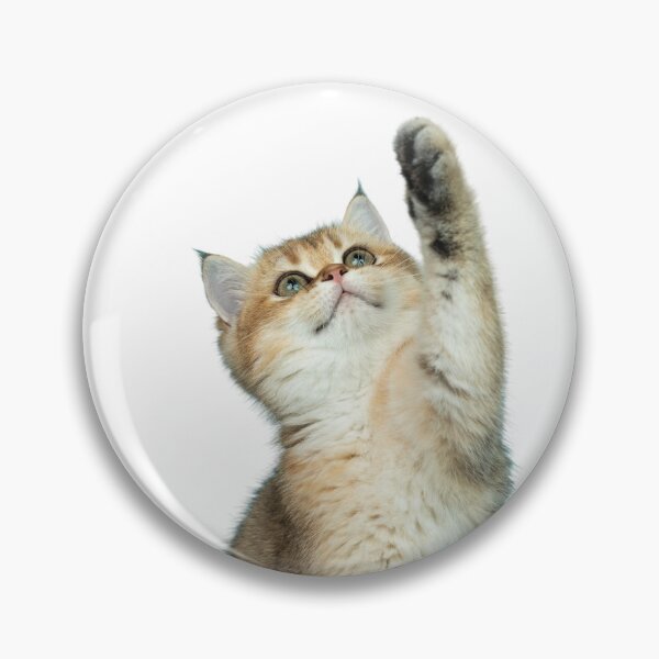 Item preview, Funny Pet Cat life Perfect designed and sold by Funny-Pet.