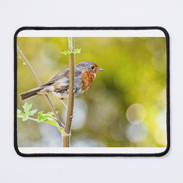 Item preview, The Robin bird designed and sold by Jinxyboy1908.