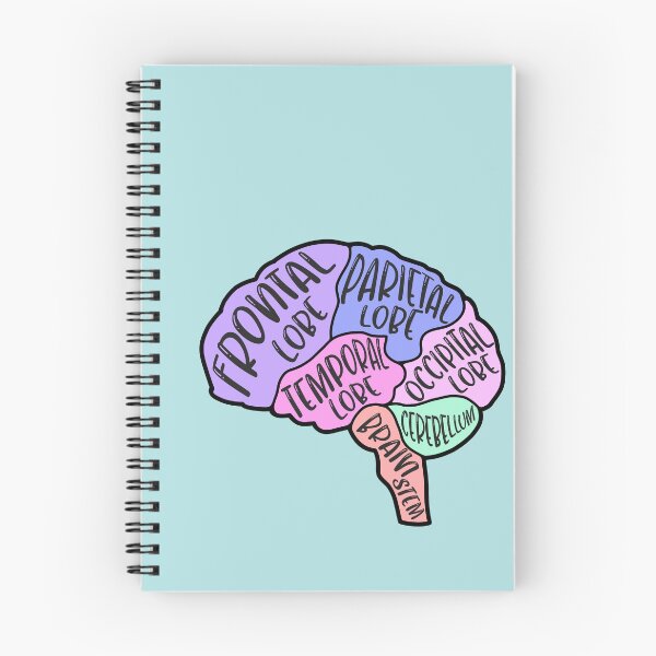 Item preview, Anatomical brain designed and sold by Preslava Genova.