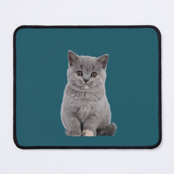 Item preview, Grey Kitten designed and sold by FloridaKeys1984.