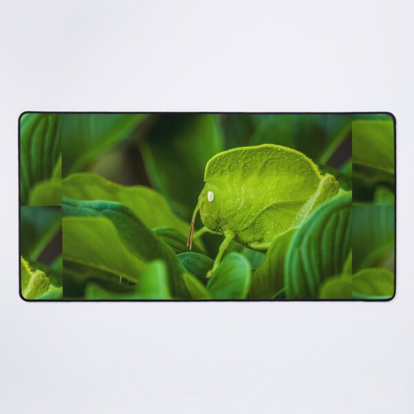 Item preview, A hooded Grasshopper designed and sold by SgbClicks19.