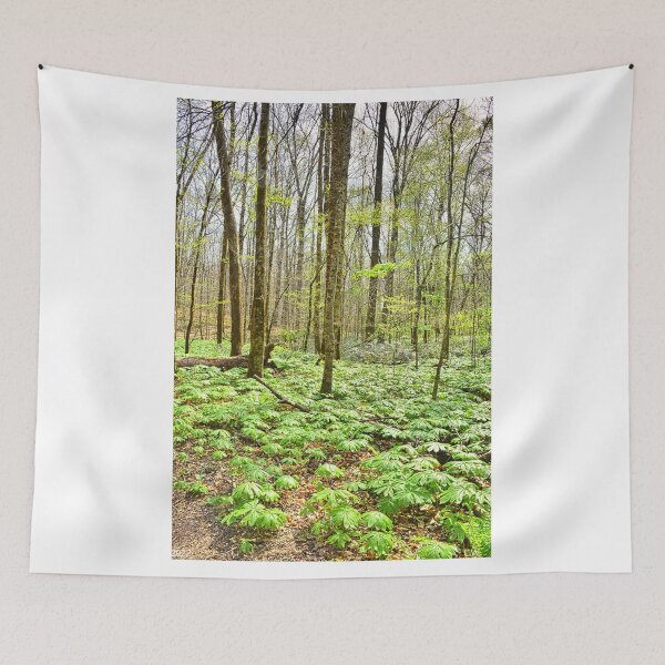 Item preview, Station Cove Hiking Trail Vertical designed and sold by LisaWootenPhoto.
