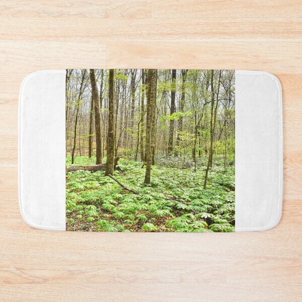 Item preview, Station Cove Hiking Trail Vertical designed and sold by LisaWootenPhoto.