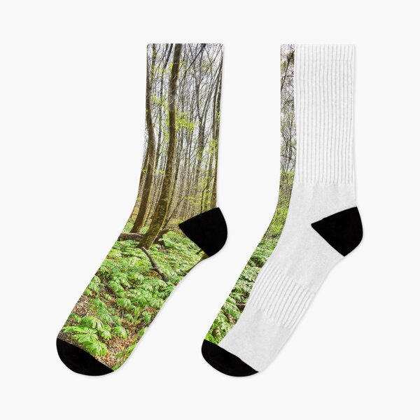 Item preview, Station Cove Hiking Trail Vertical designed and sold by LisaWootenPhoto.