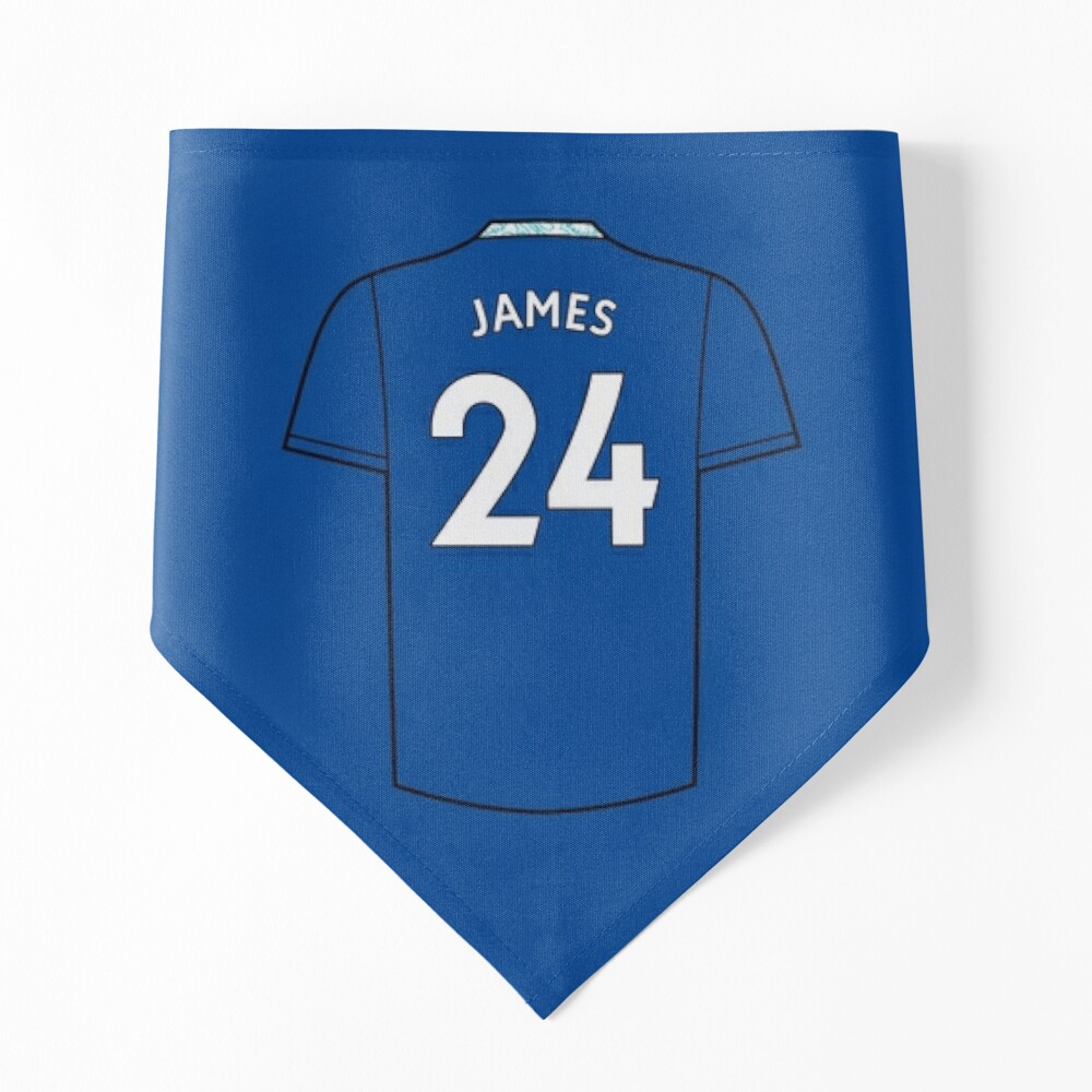 Reece James Kit Canvas Print for Sale by designsheaven