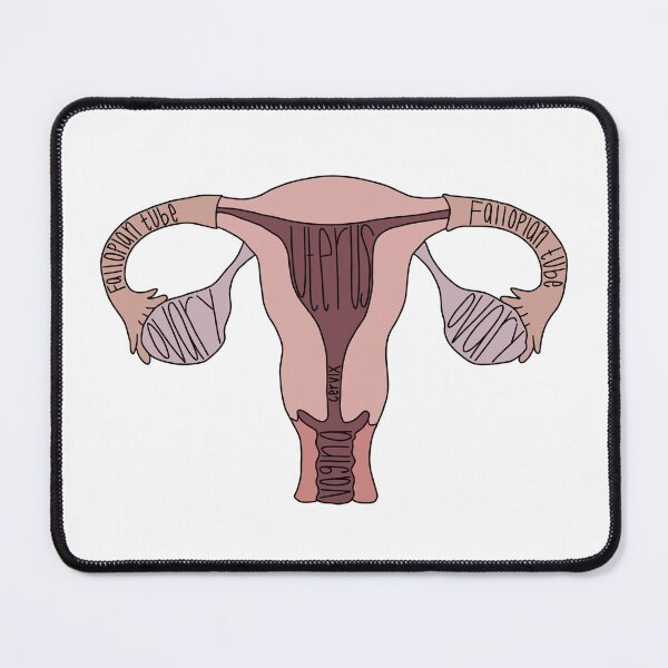 Item preview, Labeled Female Reproductive System Anatomy designed and sold by Katherine Winner.