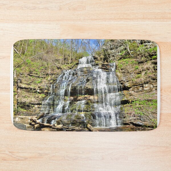 Item preview, Station Cove Falls Oconee State Park designed and sold by LisaWootenPhoto.