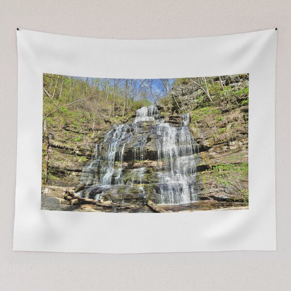 Item preview, Station Cove Falls Oconee State Park designed and sold by LisaWootenPhoto.