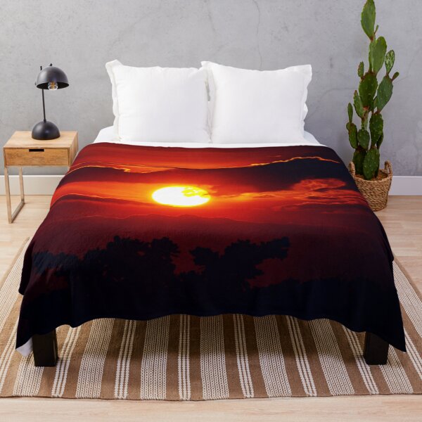 Item preview, FLORA #26 - Cypress Tree Silhouetted by Incredible Sunset designed and sold by DEL-Productions.