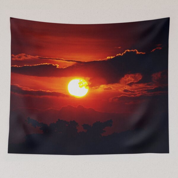 Item preview, FLORA #26 - Cypress Tree Silhouetted by Incredible Sunset designed and sold by DEL-Productions.